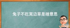 兔子不吃窝边草是啥意思