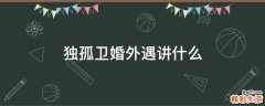 独孤卫婚外遇讲什么