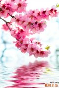 【关于避孕的谎言】避孕的误区有哪些