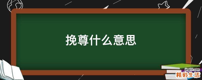 挽尊什么意思