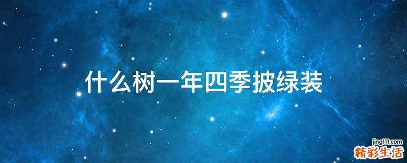 什么树一年四季披绿装