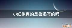 小红象真的是鲁迅写的吗