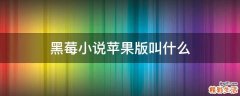 黑莓小说苹果版叫什么