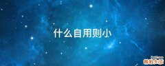 什么自用则小