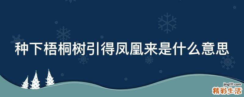 种下梧桐树引得凤凰来是什么意思