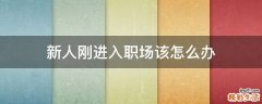 新人刚进入职场该怎么办