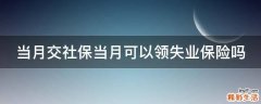 当月交社保当月可以领失业保险吗
