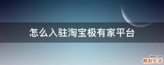 怎么入驻淘宝极有家平台