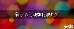 新手入门该如何炒外汇