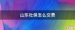 山东社保怎么交费