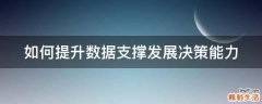 如何提升数据支撑发展决策能力