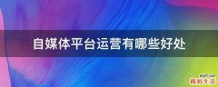 自媒体平台运营有哪些好处