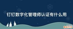 钉钉数字化管理师认证有什么用