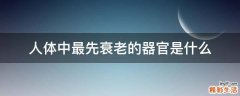 人体中最先衰老的器官是什么