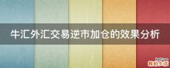 牛汇外汇交易逆市加仓的效果分析