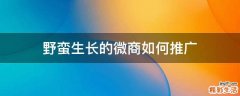 野蛮生长的微商如何推广