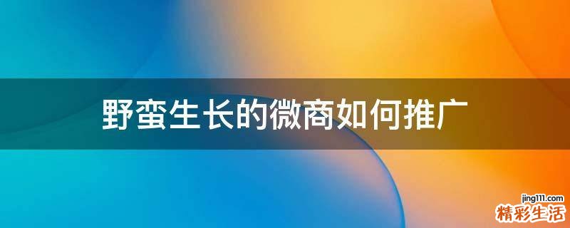 野蛮生长的微商如何推广