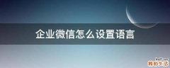 企业微信怎么设置语言