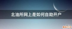 北油所网上是如何自助开户