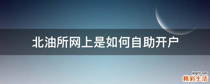 北油所网上是如何自助开户