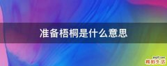 准备梧桐是什么意思