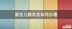 新生儿新农合如何办理