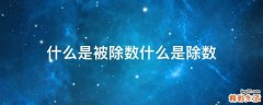 什么是被除数什么是除数