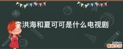 李洪海和夏可可是什么电视剧