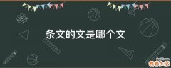 条文的文是哪个文