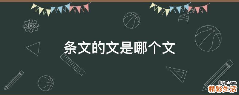 条文的文是哪个文