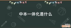 中本一体化是什么
