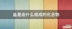 盐是由什么组成的化合物