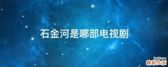 石金河是哪部电视剧