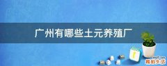 广州有哪些土元养殖厂