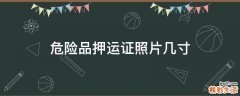 危险品押运证照片几寸