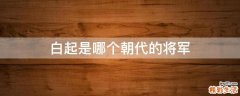 白起是哪个朝代的将军