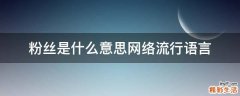 粉丝是什么意思网络流行语言
