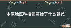 中原地区种植葡萄始于什么朝代