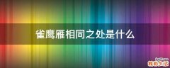 雀鹰雁相同之处是什么