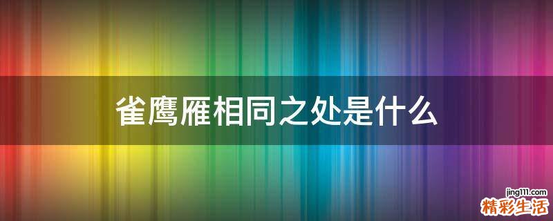 雀鹰雁相同之处是什么