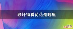 联圩镇看荷花是哪里