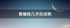 黄蟠桃几月份成熟