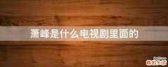 萧峰是什么电视剧里面的