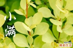 今年几号小满2023