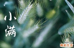 2023年小满是几月几日,2023年小满是哪一天
