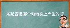 龙延香是哪个动物身上产生的呀