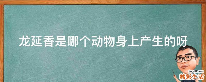 龙延香是哪个动物身上产生的呀