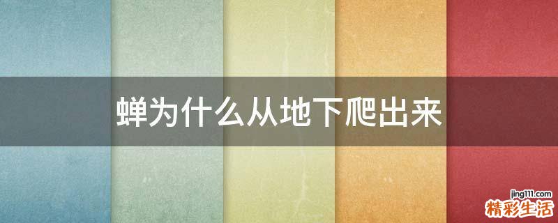 蝉为什么从地下爬出来