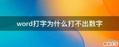 word打字为什么打不出数字