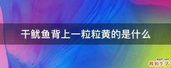 干鱿鱼背上一粒粒黄的是什么